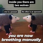 Inside you there are two opossums meme