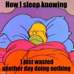And I still waste my time | How I sleep knowing; I just wasted another day doing nothing | image tagged in homer napping,me when,sleep | made w/ Imgflip meme maker