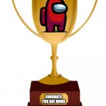 Blank Trophy | CONGRATS YOU ARE DUMB | image tagged in blank trophy | made w/ Imgflip meme maker