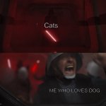 Ima rebel | Cats; ME WHO LOVES DOG | image tagged in darth vader vs rebel,i hate you,cats,i love you,dogs | made w/ Imgflip meme maker