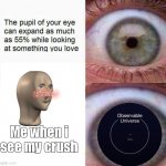 You did not just make a speliing mistake- | Me when i see my crush | image tagged in expanding eye | made w/ Imgflip meme maker