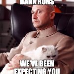 Bank Run | BANK RUNS; WE'VE BEEN EXPECTING YOU | image tagged in bond villain cat | made w/ Imgflip meme maker