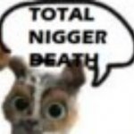 TOTAL NIGGER DEATH meme