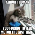 You Forgot To Feed Me Again... | ALRIGHT HUMAN; YOU FORGOT TO FEED ME FOR THE LAST TIME... | image tagged in catsniper | made w/ Imgflip meme maker