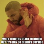 Flowers Blooming In Cold Weather | WHEN FLOWERS START TO BLOOM BUT IT’S ONLY 30 DEGREES OUTSIDE | image tagged in drake nah,nope,flowers,bloom,cold | made w/ Imgflip meme maker