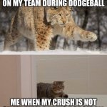 So true though.. | ME WHEN MY CRUSH IS ON MY TEAM DURING DODGEBALL; ME WHEN MY CRUSH IS NOT ON MY TEAM DURING DODGEBALL | image tagged in snow leopard and housecat | made w/ Imgflip meme maker
