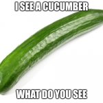 cucumber | I SEE A CUCUMBER; WHAT DO YOU SEE | image tagged in cucumber | made w/ Imgflip meme maker