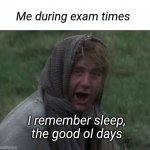 Study and Stress | Me during exam times; I remember sleep, the good ol days | image tagged in monty python and the holy grail - dennis the peasant,sleep,brain before sleep | made w/ Imgflip meme maker