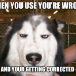 Your’nt listening to me | WHEN YOU USE YOU’RE WRONG; AND YOUR GETTING CORRECTED | image tagged in smh,fresh memes | made w/ Imgflip meme maker