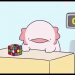 Axolotl with cube meme