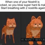 Accurate tbh | When one of your Nostrill is blocked, so you blow super hard & make it Start breathing with 2 nostrills again: | image tagged in humanity restored,memes,funny,relatable memes,so true memes,nose | made w/ Imgflip meme maker