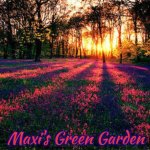 roses are red | Maxi's Green Garden | image tagged in roses are red,maxi's green garden,maxis green garden,slavic | made w/ Imgflip meme maker