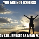 Inspirational  | YOU ARE NOT USELESS; YOU CAN STILL BE USED AS A BAD EXAMPLE | image tagged in inspirational | made w/ Imgflip meme maker