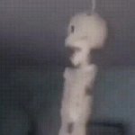 skeleton hanging on fan GIF Template