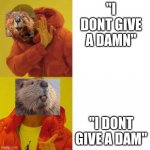 Only well educated people will understand | "I DONT GIVE A DAMN"; "I DONT GIVE A DAM" | image tagged in beaver drake meme,beaver,funny | made w/ Imgflip meme maker