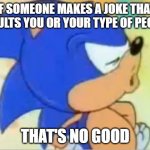 Really guys why is this what imgflip has turned into | IF SOMEONE MAKES A JOKE THAT INSULTS YOU OR YOUR TYPE OF PEOPLE; THAT'S NO GOOD | image tagged in sonic that's no good | made w/ Imgflip meme maker