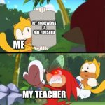 bruh | MY HOMEWORK IS NOT FINISHED; ME; MY TEACHER | image tagged in knuckles outraged | made w/ Imgflip meme maker