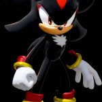 Shadow The Hedgehog