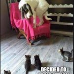 kittens surrounding dog | THAT TIME WHEN NAPOLEON; DECIDED TO TRAIN ATTACK KITTENS INSTEAD | image tagged in kittens surrounding dog,english teachers,animal farm | made w/ Imgflip meme maker