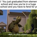 Same thing goes for high school tbh, this happened to me | POV: You just graduated from elementary school and now you’re in a huge middle school and you have to fend for yourself: | image tagged in what is this place,memes,funny,true story,relatable memes,school | made w/ Imgflip meme maker