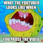 SpongeBob face freeze | WHAT THE YOUTUBER LOOKS LIKE WHEN; YOU PAUSE THE VIDEO | image tagged in spongebob face freeze | made w/ Imgflip meme maker
