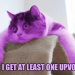 RayCat fishing for upvotes | CAN I GET AT LEAST ONE UPVOTE? | image tagged in raycat stare,memes,begging for upvotes | made w/ Imgflip meme maker