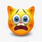 cat stock emoji scared meme