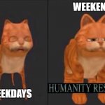 humanity restored | WEEKENDS; WEEKDAYS | image tagged in humanity restored | made w/ Imgflip meme maker