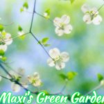flowers | Maxi's Green Garden | image tagged in flowers,slavic,maxi's green garden,maxis green garden | made w/ Imgflip meme maker