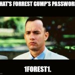 Daily Bad Dad Joke March 16 2023 | WHAT'S FORREST GUMP'S PASSWORD? 1FOREST1. | image tagged in forest gump | made w/ Imgflip meme maker