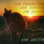 Instacat Motivationals | SHE PERSERVERED
SHE SURVIVED
SHE LAUGHED; SHE SHITTED | image tagged in cat pooping and sunset | made w/ Imgflip meme maker