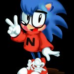 Nicky (Aka Sonic)