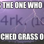 Says the one who never touched grass meme