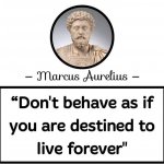 Marcus Aurelius quote