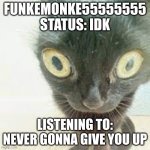 nerd | FUNKEMONKE55555555 STATUS: IDK; LISTENING TO: NEVER GONNA GIVE YOU UP | image tagged in funkemonke5555555 shidpost | made w/ Imgflip meme maker
