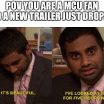 mcu | POV YOU ARE A MCU FAN AND A NEW TRAILER JUST DROPPED | image tagged in its beutiful,mcu | made w/ Imgflip meme maker