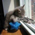 Sniper-cat