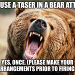 grizzly bear | CAN I USE A TASER IN A BEAR ATTACK? YES, ONCE. (PLEASE MAKE YOUR FINAL ARRANGEMENTS PRIOR TO FIRING TAZER) | image tagged in grizzly bear | made w/ Imgflip meme maker