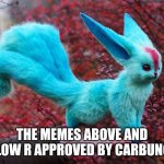 Carbuncle approves | THE MEMES ABOVE AND BELOW R APPROVED BY CARBUNCLE | image tagged in best boi carbuncle | made w/ Imgflip meme maker