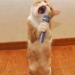 Cat Singer | DECK THE HALLS WITH CAT NIP MOUSIES FA LA LA LALA LA LA LA LA; WRECK THE TREE AND BLAME THE DOGGIES FA LALA LA LA, LA LA LA LA | image tagged in cat singer,lol,catnip,mousies,deck the halls,why are you reading the tags | made w/ Imgflip meme maker