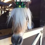 Kiss Me I'm Irish | KISS ME
I'M IRISH; OK, I'M NOT, BUT YOU KNOW YOU WANNA KISS ME ANYWAY | image tagged in amos the wonder horse | made w/ Imgflip meme maker