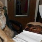 Dog don't want