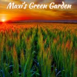 sunrise on the farm | Maxi's Green Garden | image tagged in sunrise on the farm,slavic,maxi's green garden,maxis green garden | made w/ Imgflip meme maker