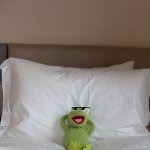 kermit bed | MOM: GO DO YOUR CHORES

ME: I WILL DO IT AT 5:00

CLOCK: 5:05

ME: OH GEUSS I HAVE TO DO IT AT 6:00; YES ME TIME | image tagged in kermit bed,tricking my parents | made w/ Imgflip meme maker