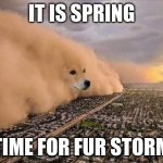 Dust Doge Storm | IT IS SPRING; TIME FOR FUR STORM | image tagged in dust doge storm | made w/ Imgflip meme maker