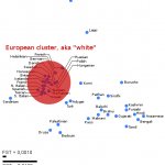 european genetic cluster meme