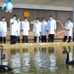 Black Swan Science