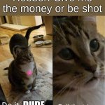 fr rn | Robber: Give me the money or be shot; DUDE | image tagged in do it debra pull the trigger | made w/ Imgflip meme maker