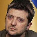 Zelensky meme