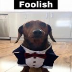 This fellow is so foolish | bitch | image tagged in this fellow is so foolish | made w/ Imgflip meme maker